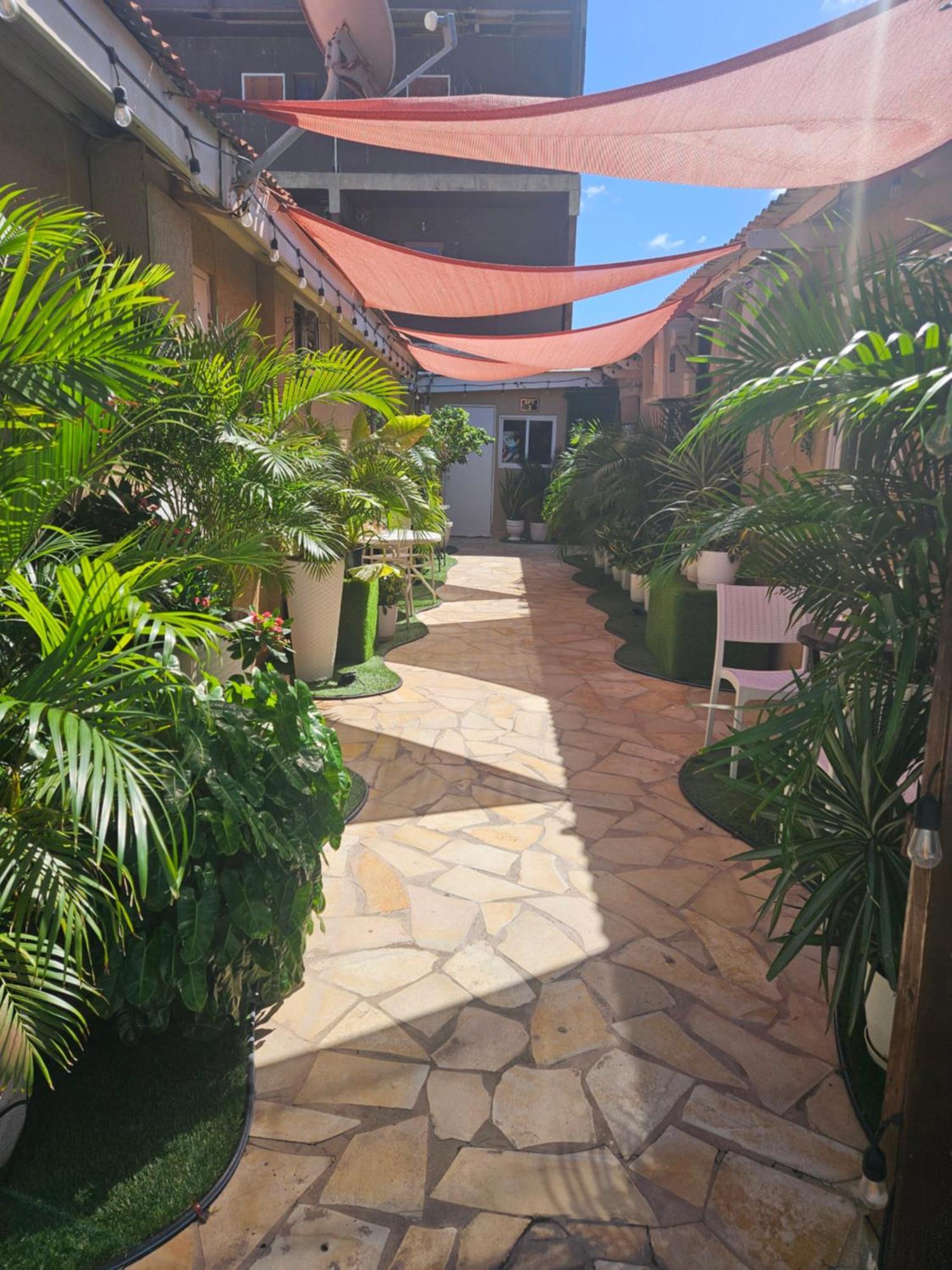 The Jazmine'S Apartment A Oranjestad Eksteriør billede